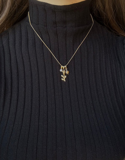 Collana Amati