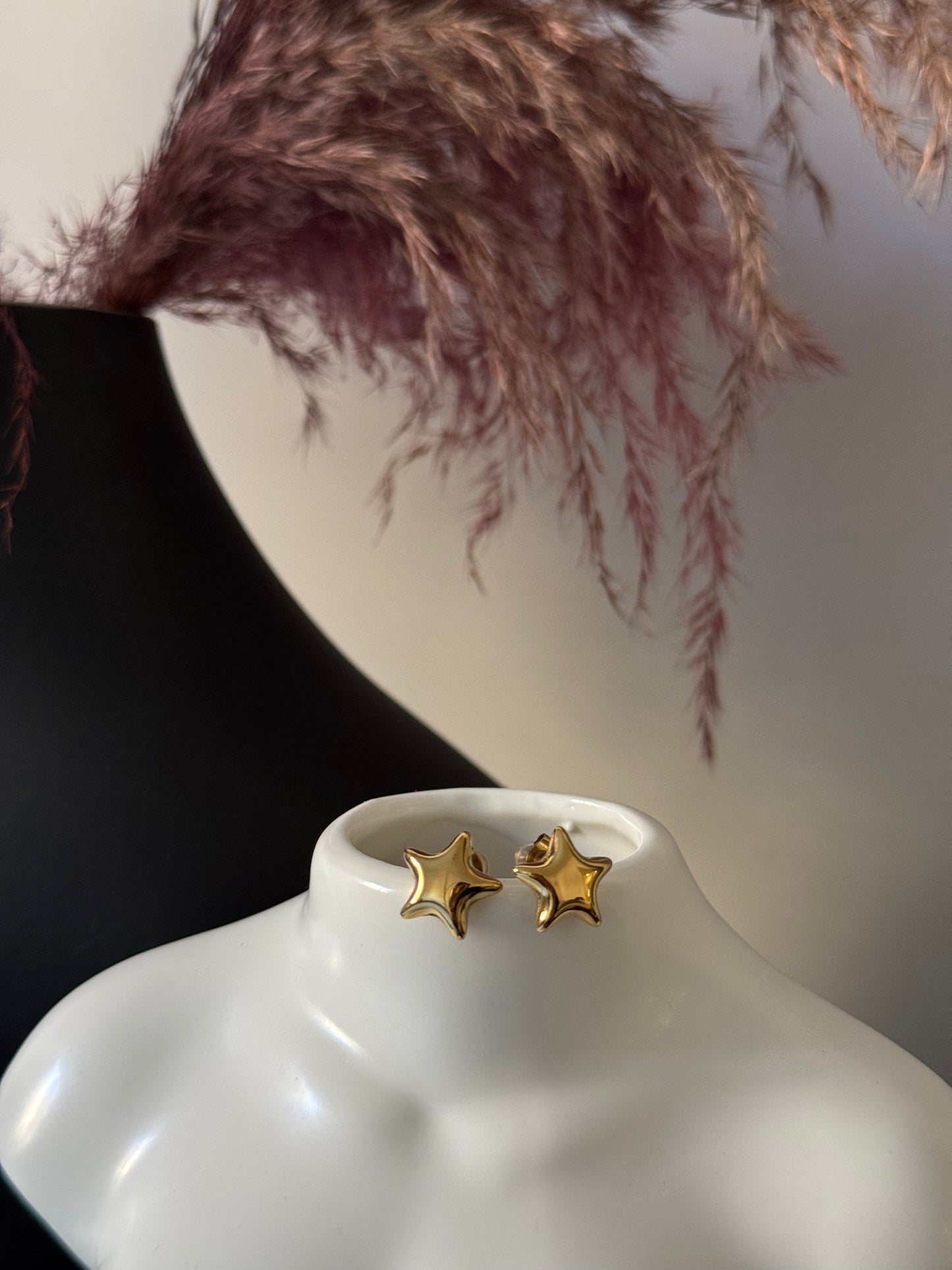 Orecchini Stella Bold